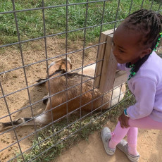 3F103A03-9A31-4040-84E9-B3D83222A42D